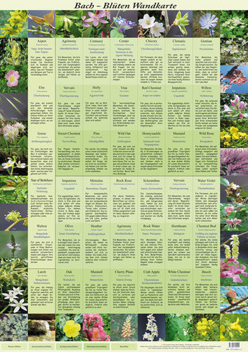 Bach Blüten Poster