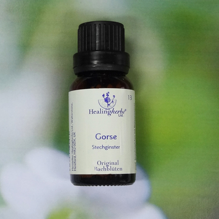 Gorse - Healing Herbs Globuli 15 gr.