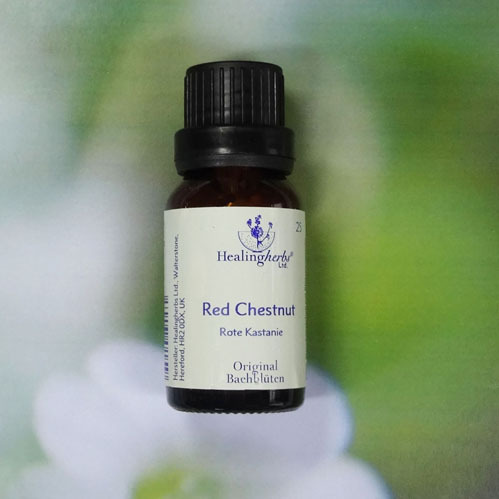 Red Chestnut - Healing Herbs Globuli 15 gr.