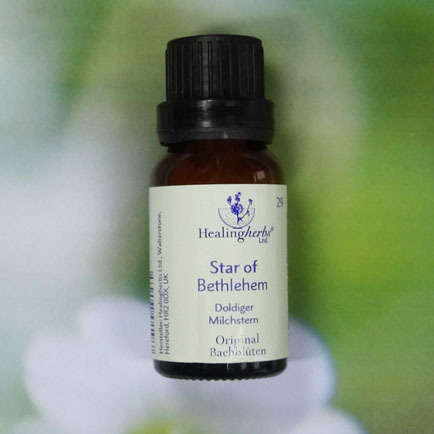 Star of Bethlehem - Healing Herbs Globuli 15 gr.