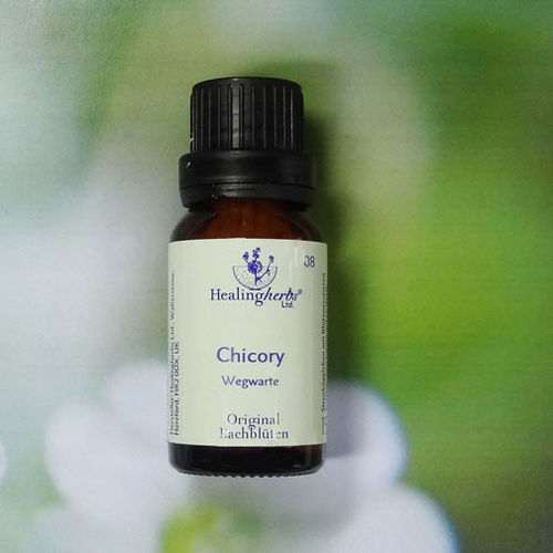 Chicory - Healing Herbs Globuli 15 gr.