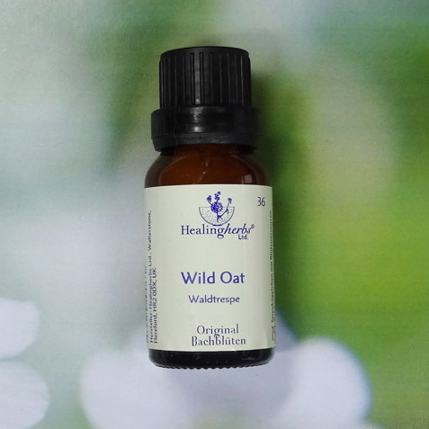 Wild Oat - Healing Herbs Globuli 15 gr.