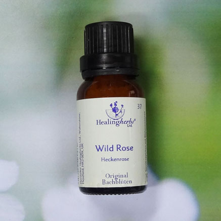 Wild Rose - Healing Herbs Globuli 15 gr.