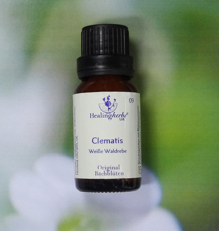 Clematis - Healing Herbs Globuli 15 gr.